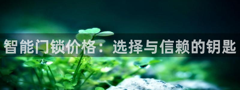 金年会手机app：智能门锁价格：选择与信赖的钥匙