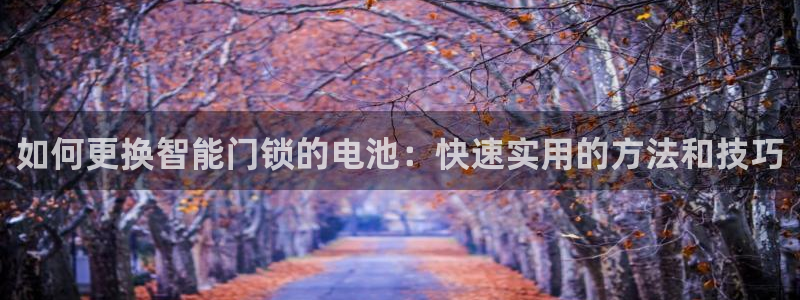 金年会会：如何更换智能门锁的电池：快速实用的方法和技巧