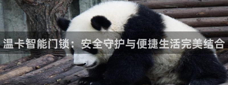 类似金年会：温卡智能门锁：安全守护与便捷生活完美结合