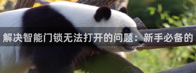 金年会电子游戏app：解决智能门锁无法打开的问题：新手必备的
