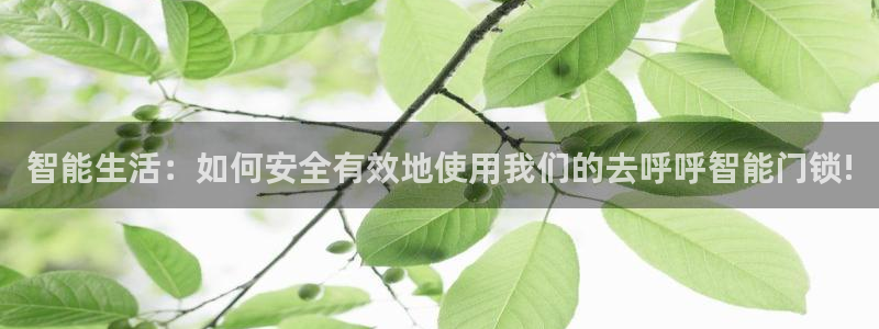 金年会官：智能生活：如何安全有效地使用我们的去呼呼智能门锁!