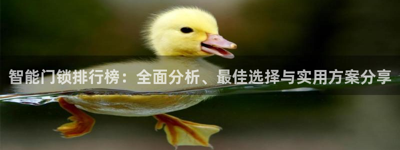 金年会体育官网在线：智能门锁排行榜：全面分析、最佳选择与实用