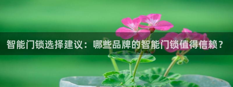 金年会登录：智能门锁选择建议：哪些品牌的智能门锁值得信赖？