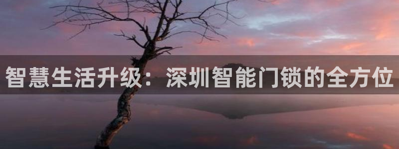 今年会金年会：智慧生活升级：深圳智能门锁的全方位