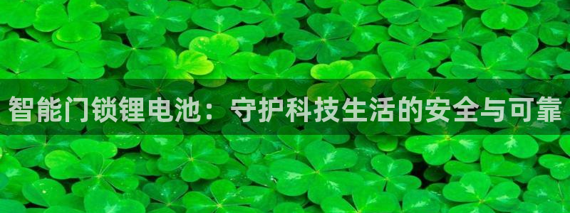 金年会金字招牌诚信：智能门锁锂电池：守护科技生活的安全与可靠