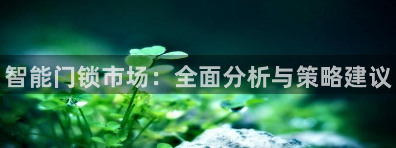 金进年会：智能门锁市场：全面分析与策略建议