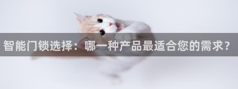 金年会最新登录网站：智能门锁选择：哪一种产品最适合您的需求？