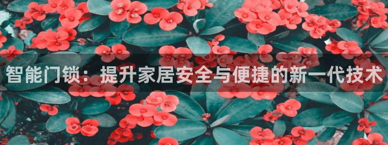 金年会官方网站下载：智能门锁：提升家居安全与便捷的新一代技术