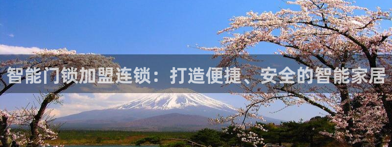 金靖年会：智能门锁加盟连锁：打造便捷、安全的智能家居