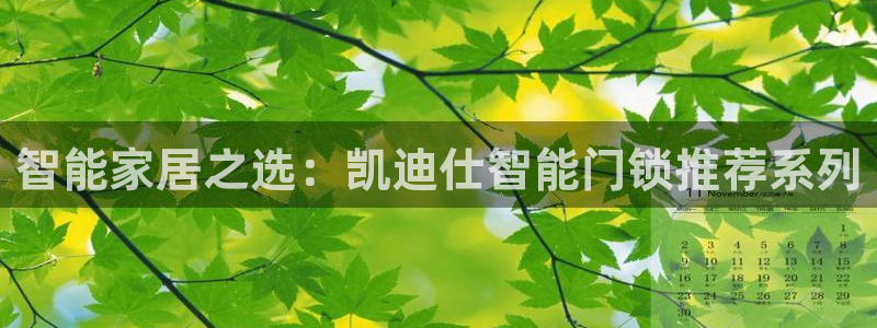 金年会登录平台入口：智能家居之选：凯迪仕智能门锁推荐系列