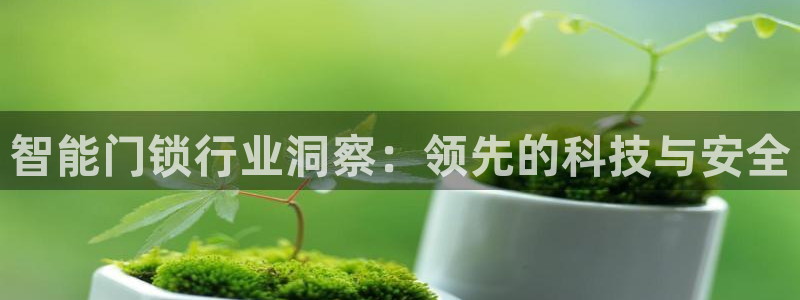 金年会官方体育登录入口：智能门锁行业洞察：领先的科技与安全