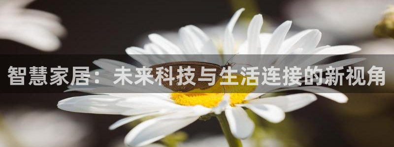 金年会赌博：智慧家居：未来科技与生活连接的新视角