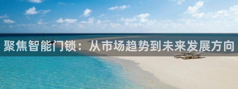 金年会官网入口：聚焦智能门锁：从市场趋势到未来发展方向