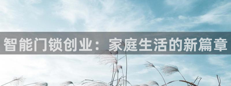 金年会拼音：智能门锁创业：家庭生活的新篇章