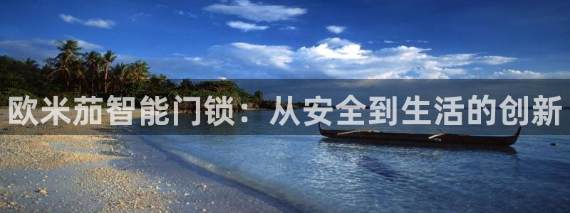 金年会入口网站：欧米茄智能门锁：从安全到生活的创新