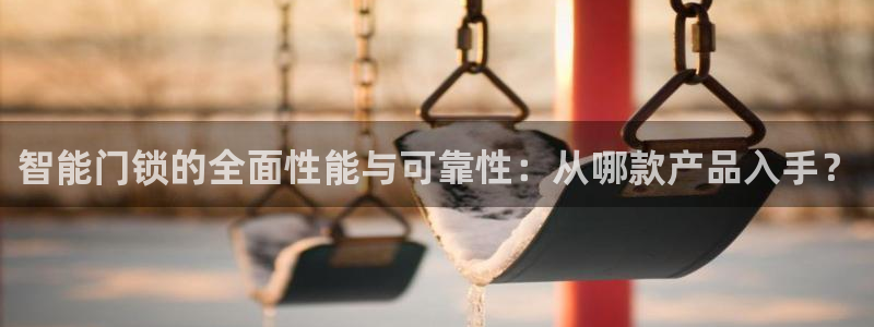 金年会：智能门锁的全面性能与可靠性：从哪款产品入手？