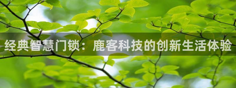 金年会注册：经典智慧门锁：鹿客科技的创新生活体验