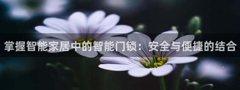金年会入口：掌握智能家居中的智能门锁：安全与便捷的结合