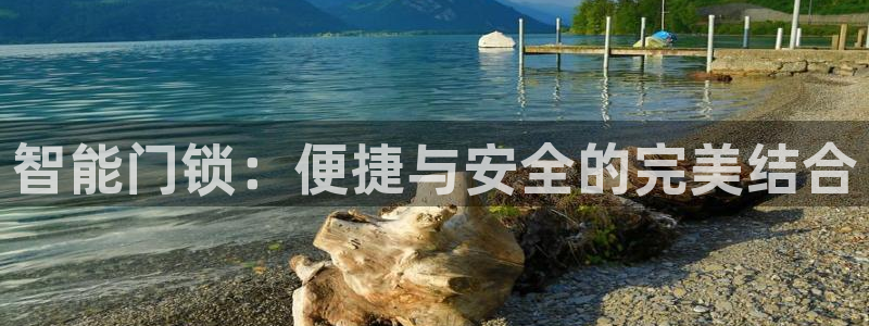 金年会手机网页登录：智能门锁：便捷与安全的完美结合