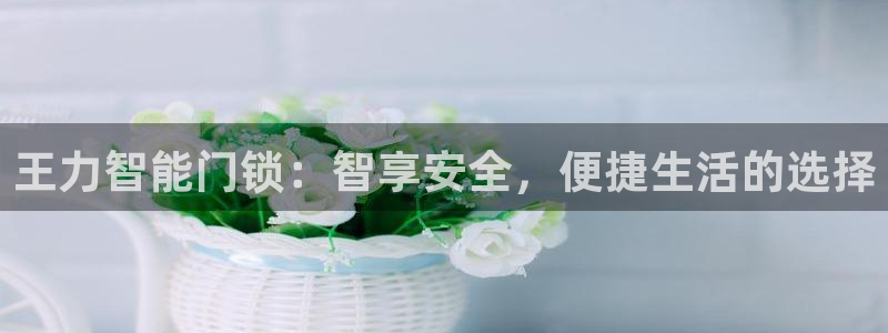 金年会官方客服：王力智能门锁：智享安全，便捷生活的选择