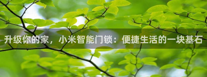 金年会娱乐和马竞：升级你的家，小米智能门锁：便捷生活的一块基