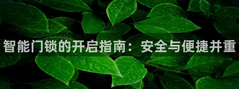 金年会：智能门锁的开启指南：安全与便捷并重