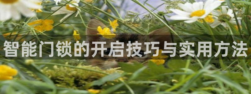 金帆年会2017：智能门锁的开启技巧与实用方法