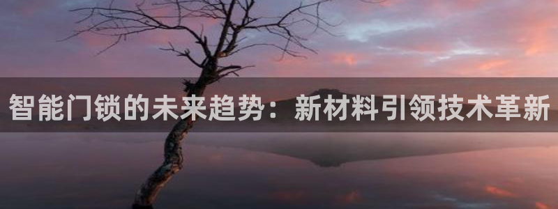 金哥年会：智能门锁的未来趋势：新材料引领技术革新
