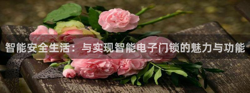 金年会信誉：智能安全生活：与实现智能电子门锁的魅力与功能