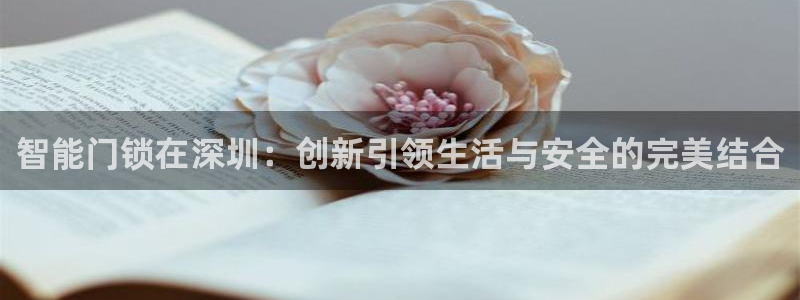 金年会是正规的吗:智能门锁在深圳:创新引领生活与安全的完美结