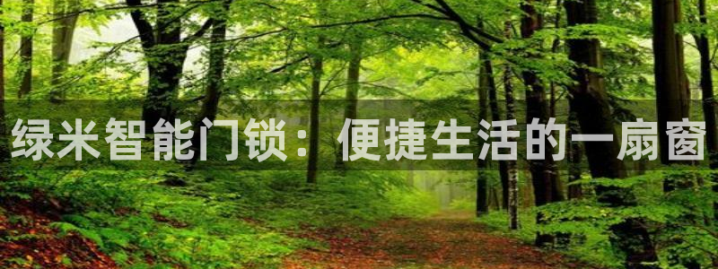 金年会软件之家下载：绿米智能门锁：便捷生活的一扇窗
