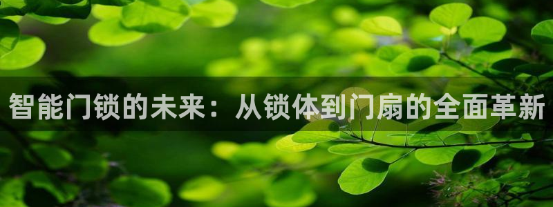 金年会棋牌：智能门锁的未来：从锁体到门扇的全面革新