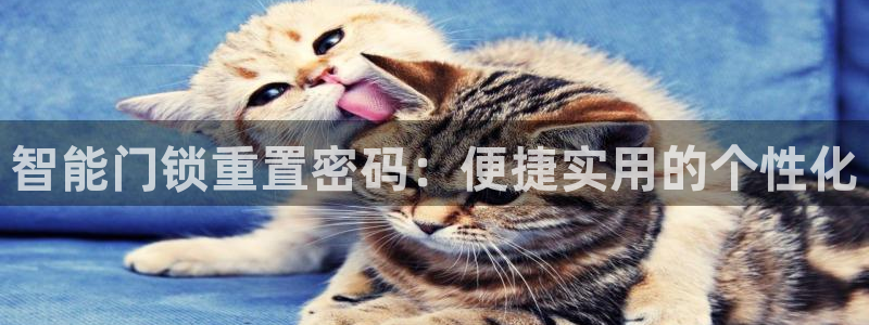 金年会下载：智能门锁重置密码：便捷实用的个性化