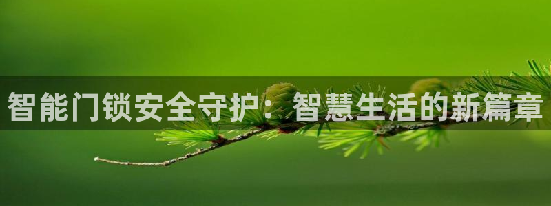 金年会体育平台在线登录：智能门锁安全守护：智慧生活的新篇章