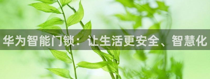 2022年金科年会:华为智能门锁:让生活更安全、智慧化