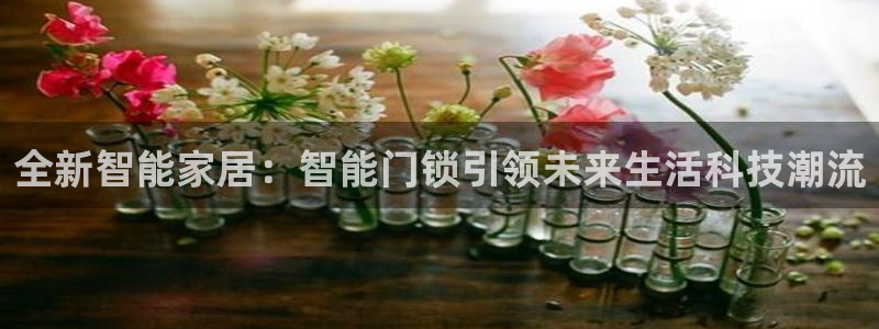 金实年会：全新智能家居：智能门锁引领未来生活科技潮流