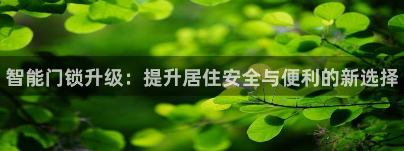 金年会官方网站下载：智能门锁升级：提升居住安全与便利的新选择