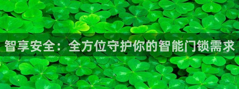金年会金字招牌诚信至上：智享安全：全方位守护你的智能门锁需求