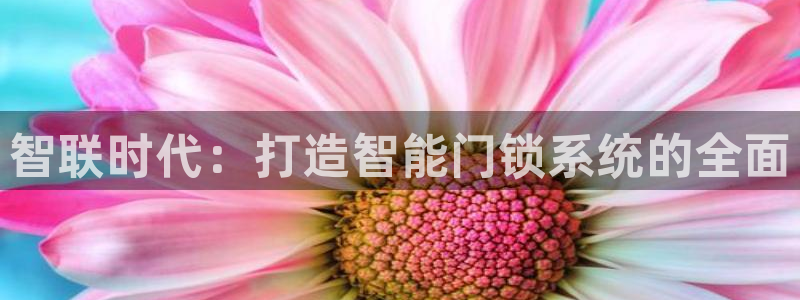 金年会娱乐app：智联时代：打造智能门锁系统的全面