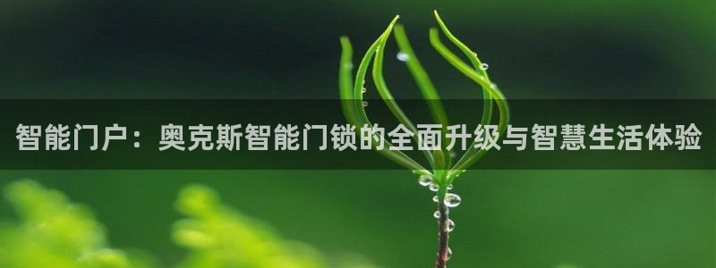 澳门与金年会的关系：智能门户：奥克斯智能门锁的全面升级与智慧