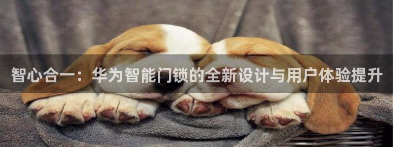 金年会金字招牌信誉：智心合一：华为智能门锁的全新设计与用户体