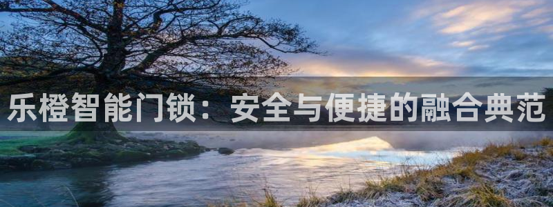 金吉年会：乐橙智能门锁：安全与便捷的融合典范