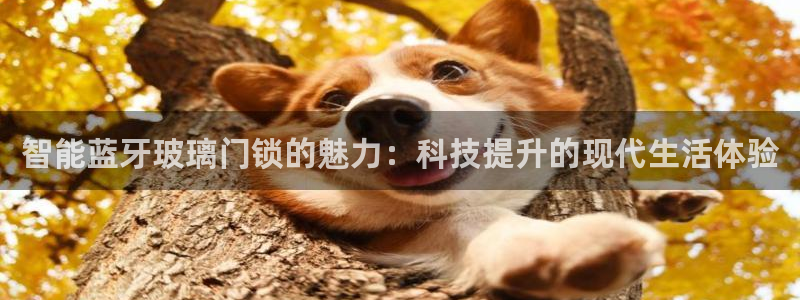 金年会菲律宾：智能蓝牙玻璃门锁的魅力：科技提升的现代生活体验