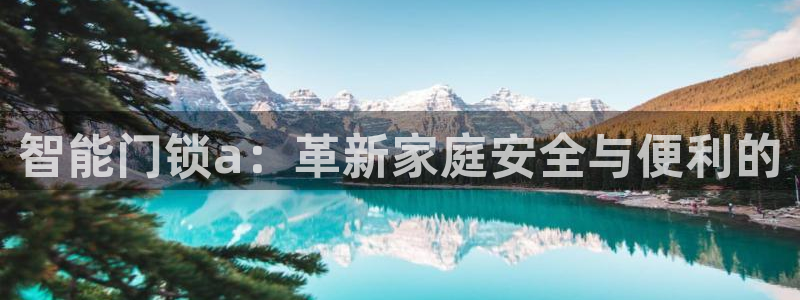 金年会登陆：智能门锁a：革新家庭安全与便利的