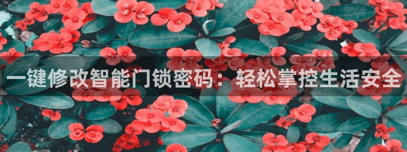 金年会官网地址：一键修改智能门锁密码：轻松掌控生活安全