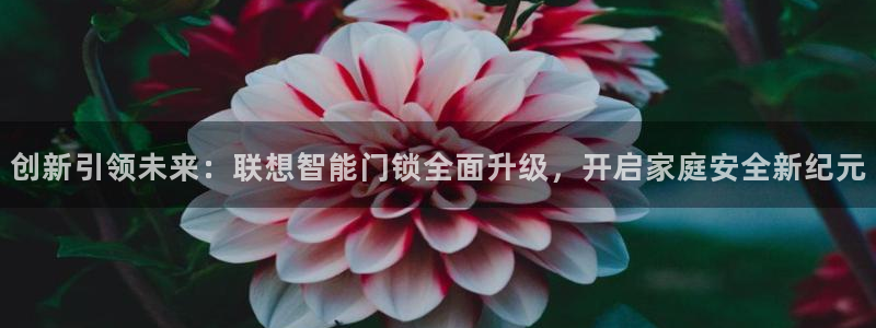 金年会在线：创新引领未来：联想智能门锁全面升级，开启家庭安全
