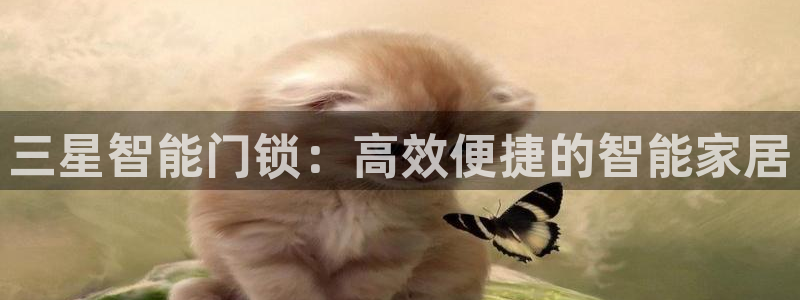 2022年金科年会：三星智能门锁：高效便捷的智能家居