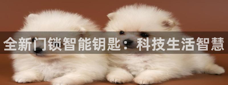 金年会最新下载