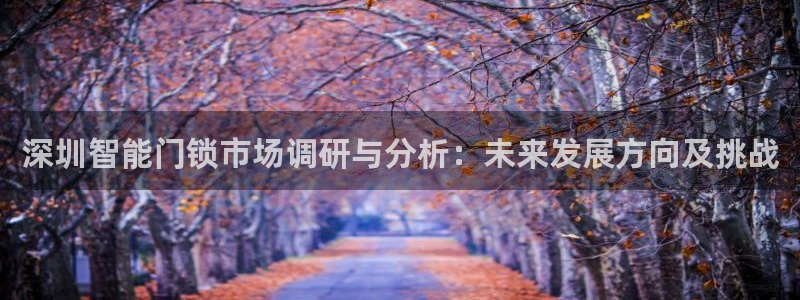 金年会平台是什么：深圳智能门锁市场调研与分析：未来发展方向及