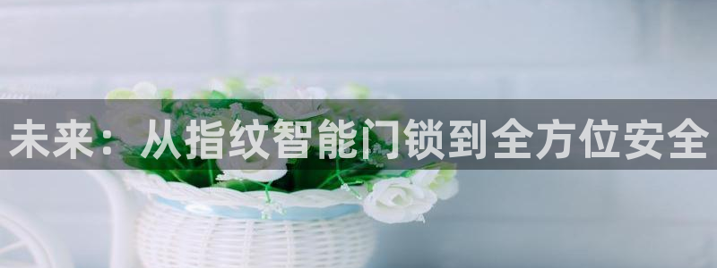 金年会官网:未来:从指纹智能门锁到全方位安全